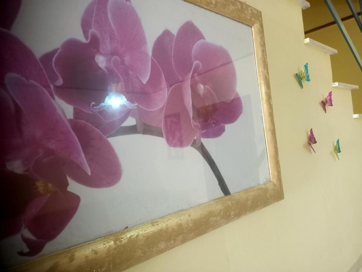 Vila Casa Sole Vetralla Exteriér fotografie